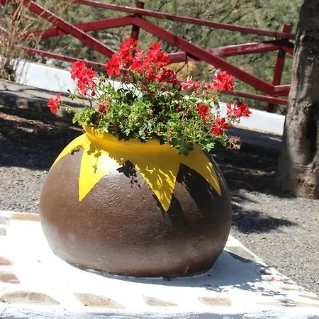 Finca La Higuerilla Holiday home Tenteniguada