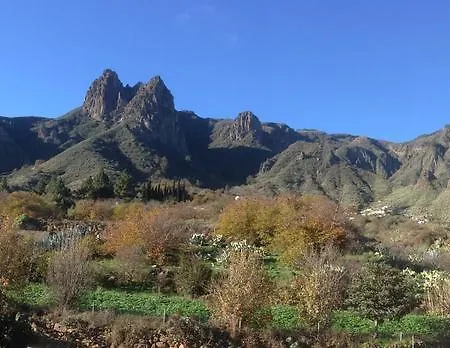 Finca La Higuerilla Tenteniguada