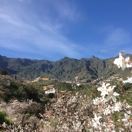 Finca La Higuerilla Tenteniguada