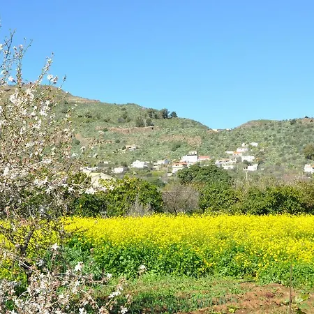 Finca La Higuerilla Holiday home Tenteniguada