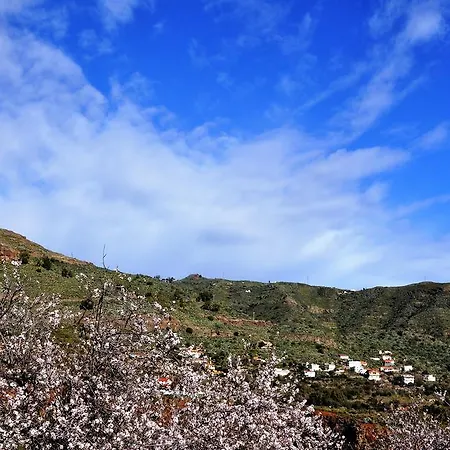 Finca La Higuerilla *